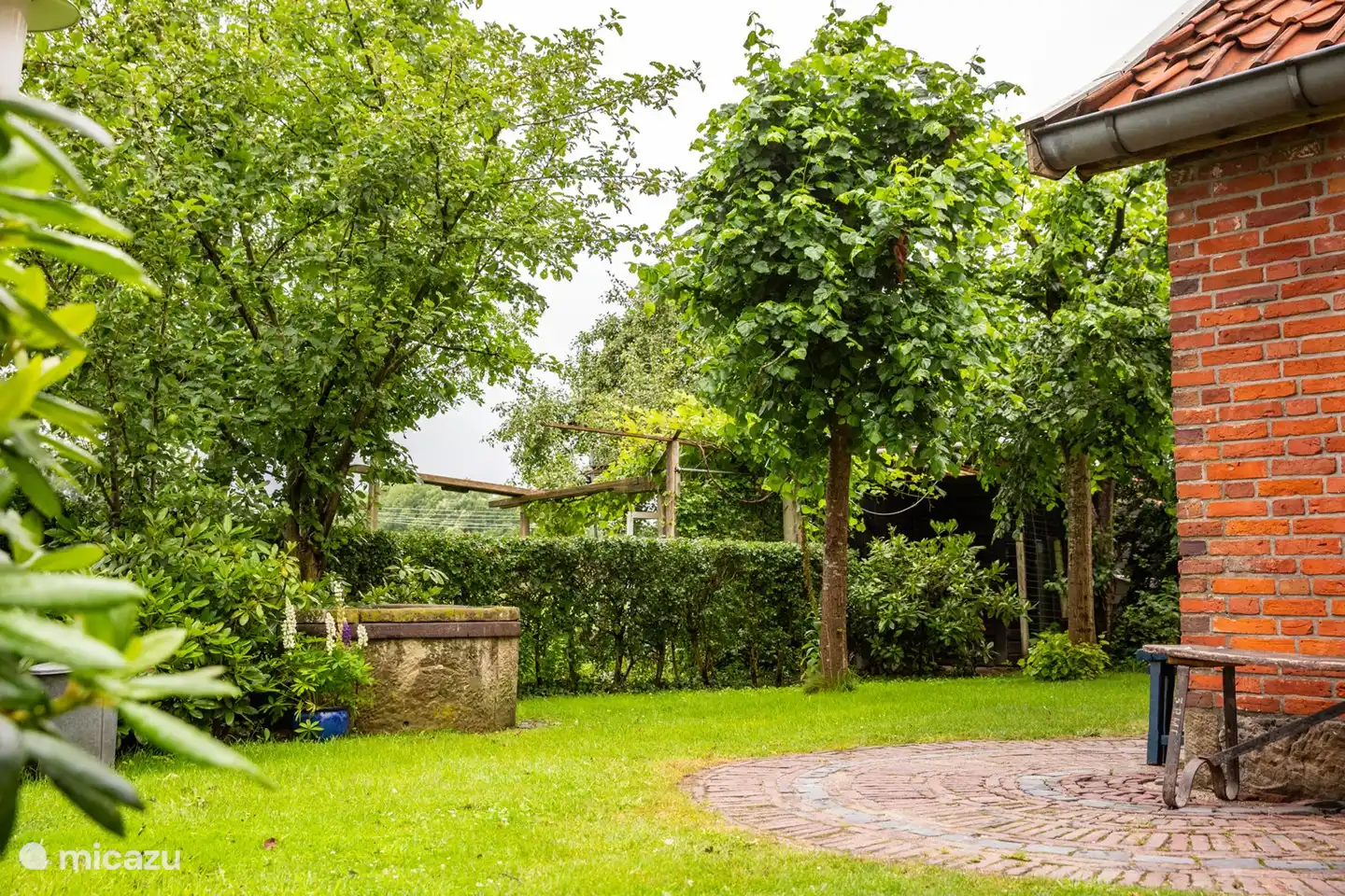 Der Garten hinter dem Haus.