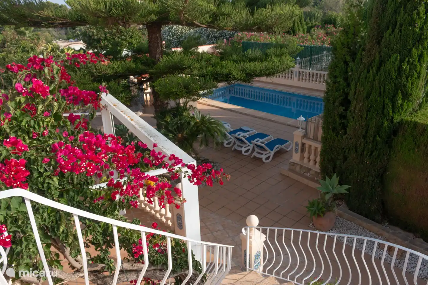 Piscine (du dessus de la terrasse)