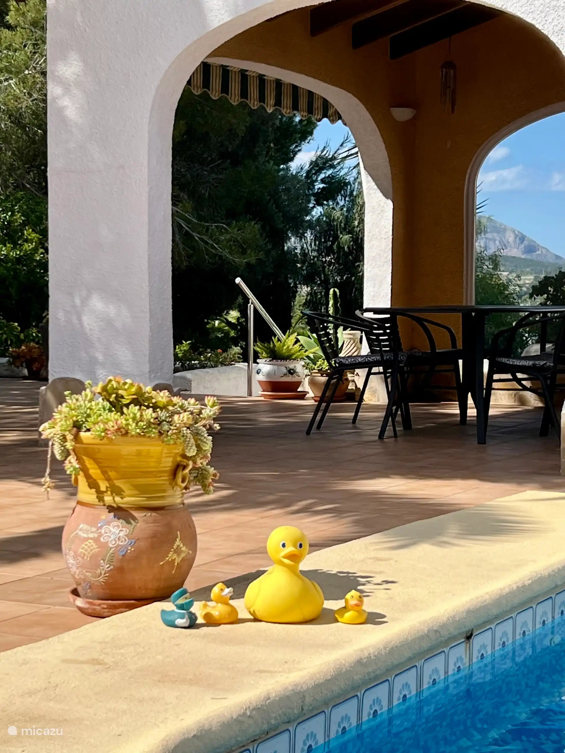 Die hintere Terrasse hat ein Baldachin mit Speisebereich