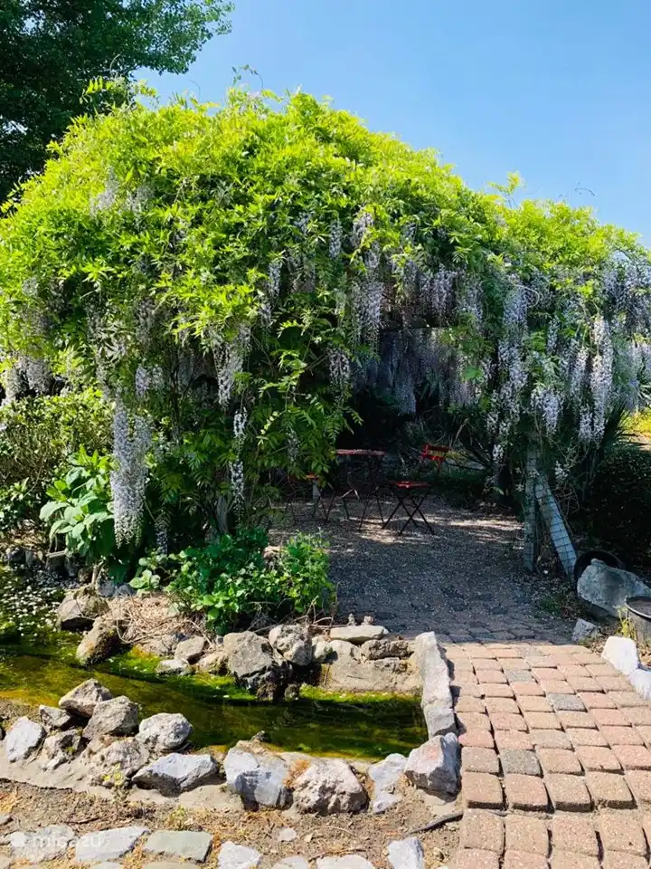 Die Pergola im hinteren Teil des Gartens in der Nähe der Teiche