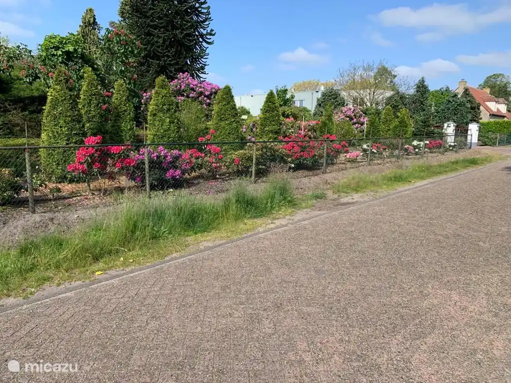 Der Blick von der Straße