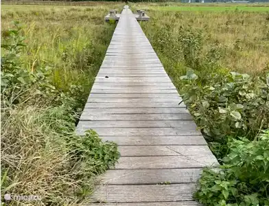 Wunderschöne Wanderumgebung