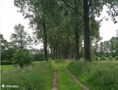 Wandern oder Radfahren, verschiedene Routen sind an der Rezeption erhältlich