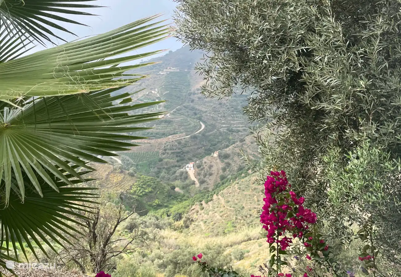 Üppiger Garten mit fantastischer Aussicht und vielen Obstbäumen. Pflücken ist erlaubt!