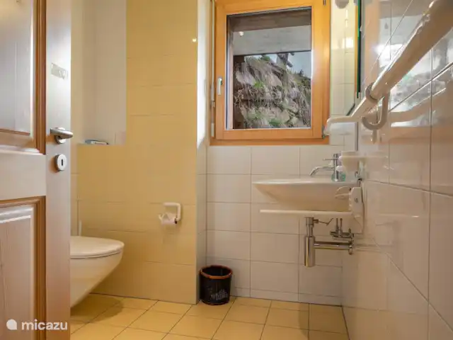 Papillon | Suisse, Valais, Bettmeralp - chalet toilette de jour