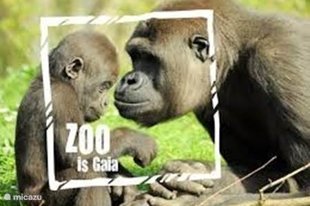 Zoológico Gaia Zoológico