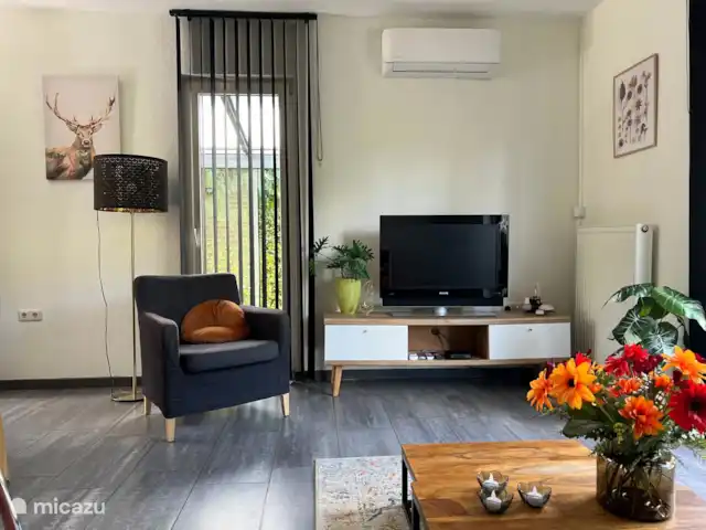 Bungalow de luxe en pleine nature | Pays-Bas, Limbourg, Posterholt - maison de vacances Salon, TV