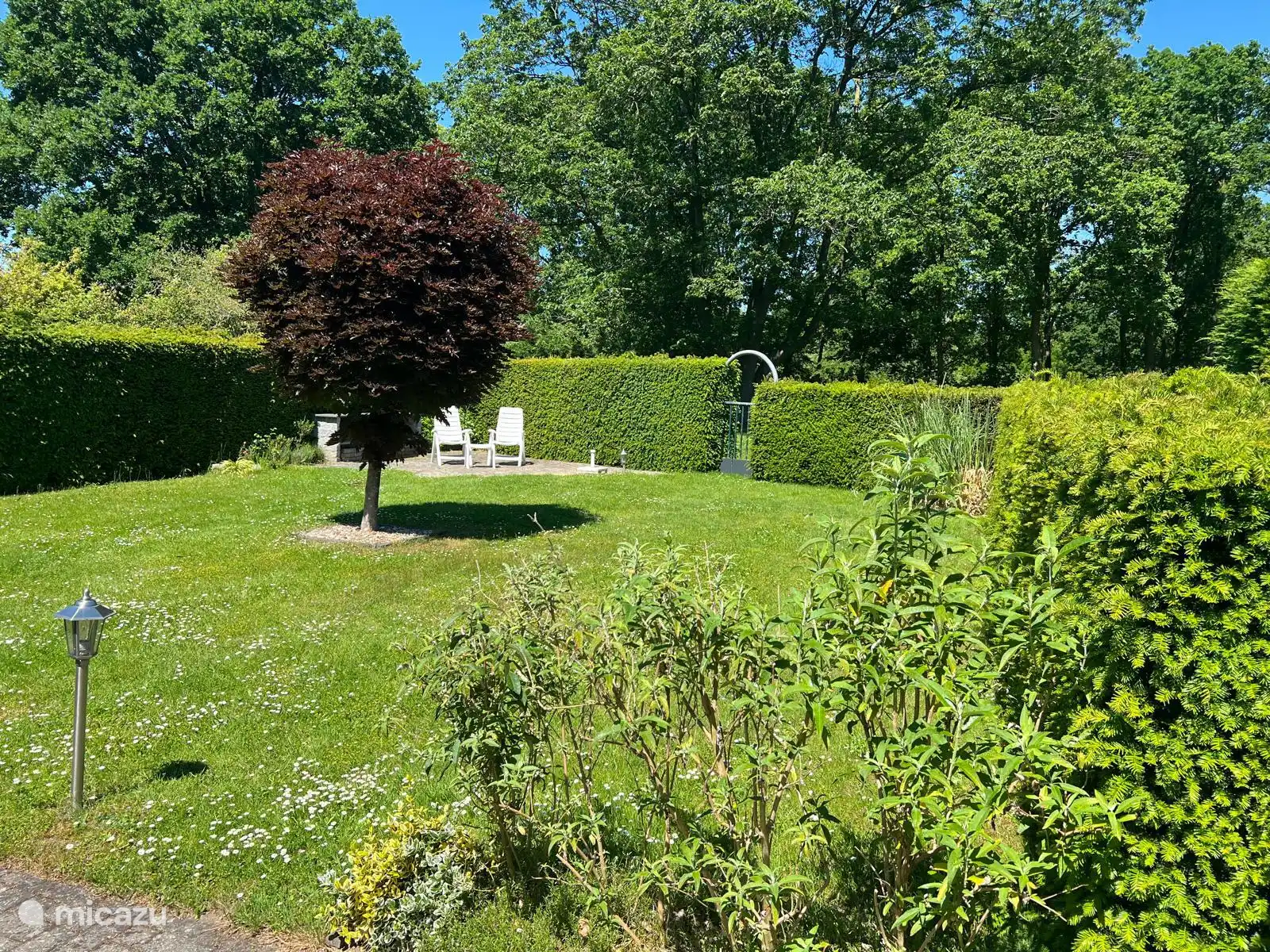 Achtertuin met terras achterin de tuin.