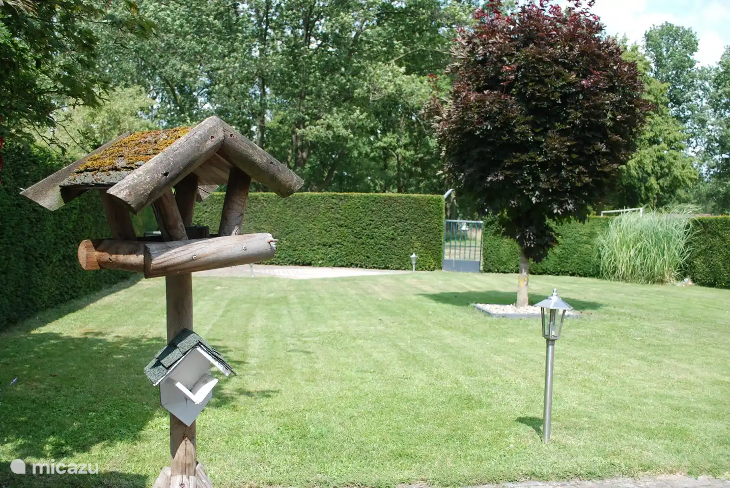 Luxusbungalow mitten in der Natur in Niederlande, Limburg, Posterholt - Ferienhaus