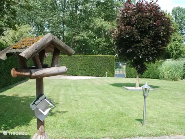 Bungalow de luxe en pleine nature | Pays-Bas, Limbourg, Posterholt - maison de vacances Cour
