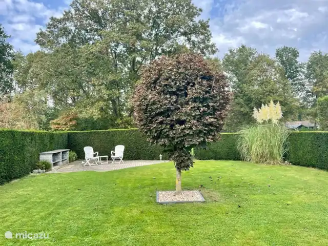 Bungalow de luxe en pleine nature | Pays-Bas, Limbourg, Posterholt - maison de vacances Cour arrière avec terrasse à l'arrière