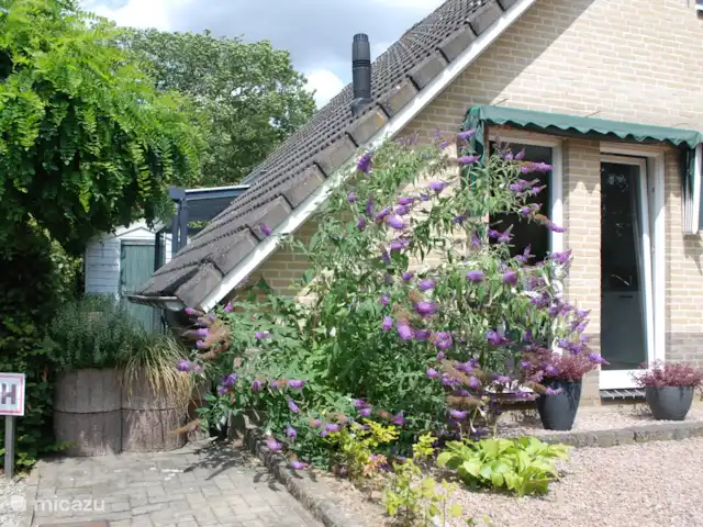 Bungalow de luxe en pleine nature | Pays-Bas, Limbourg, Posterholt - maison de vacances Cour avant