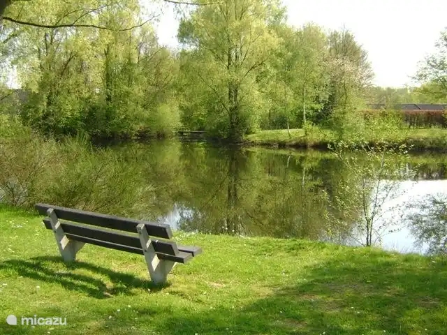 Bungalow de luxe en pleine nature | Pays-Bas, Limbourg, Posterholt - maison de vacances Étang