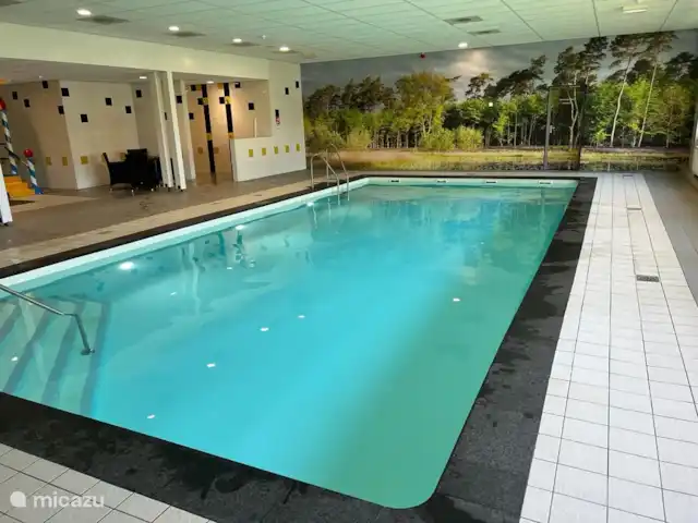 Bungalow de luxe en pleine nature | Pays-Bas, Limbourg, Posterholt - maison de vacances Piscine intérieure partagée