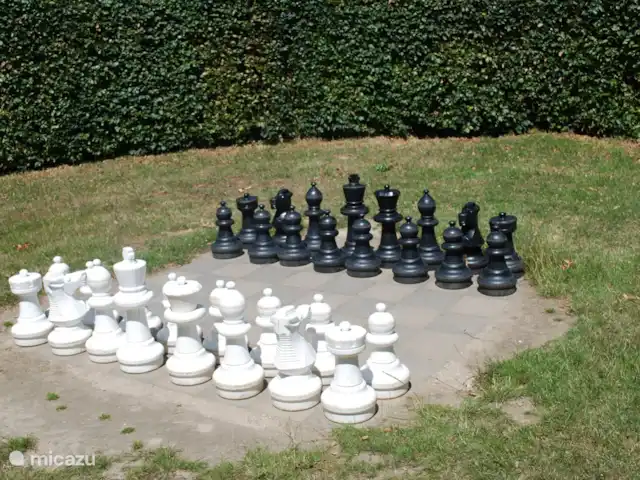 Bungalow de luxe en pleine nature | Pays-Bas, Limbourg, Posterholt - maison de vacances Jeu d'échecs à l'extérieur