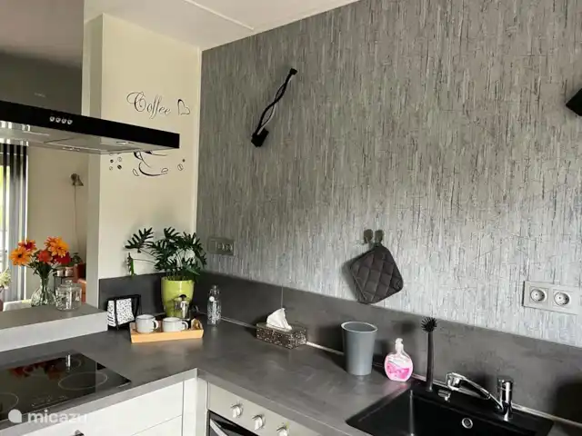 Bungalow de luxe en pleine nature | Pays-Bas, Limbourg, Posterholt - maison de vacances cuisine