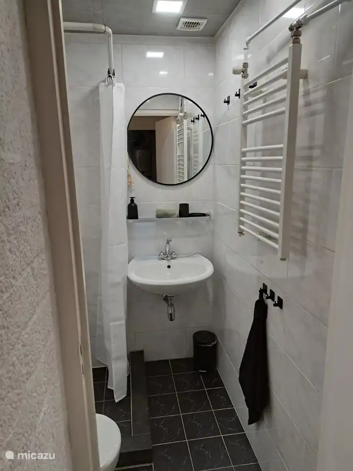 Badezimmer mit Dusche und WC, Designheizkörper, Waschbecken, Spiegel.