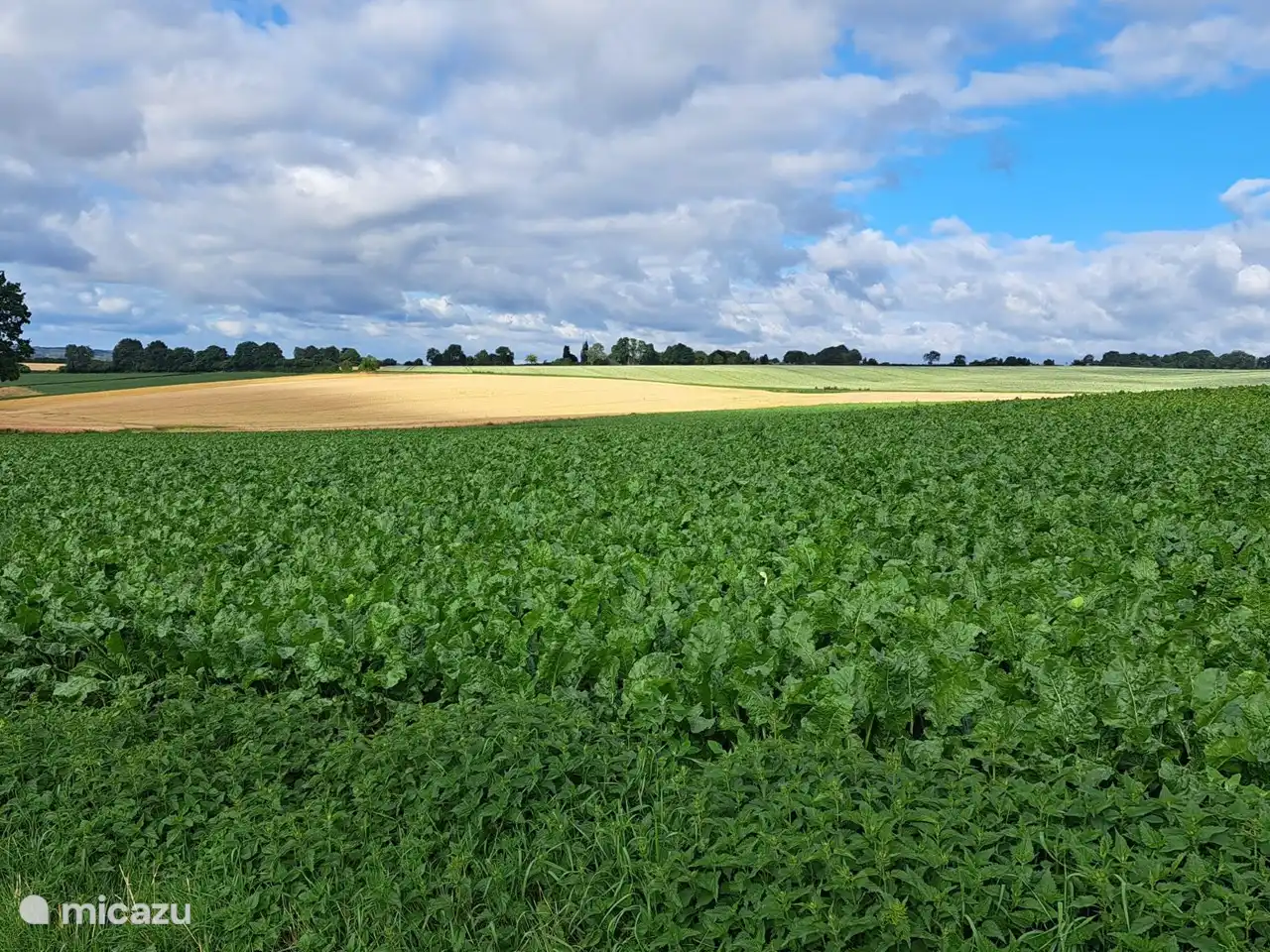 Durch den Eingang (privates Tor) neben dem Park gelangen Sie direkt in die Wiesen mit einem schönen Wander- und Fahrradgebiet, 200 Meter entfernt. des Hauses.