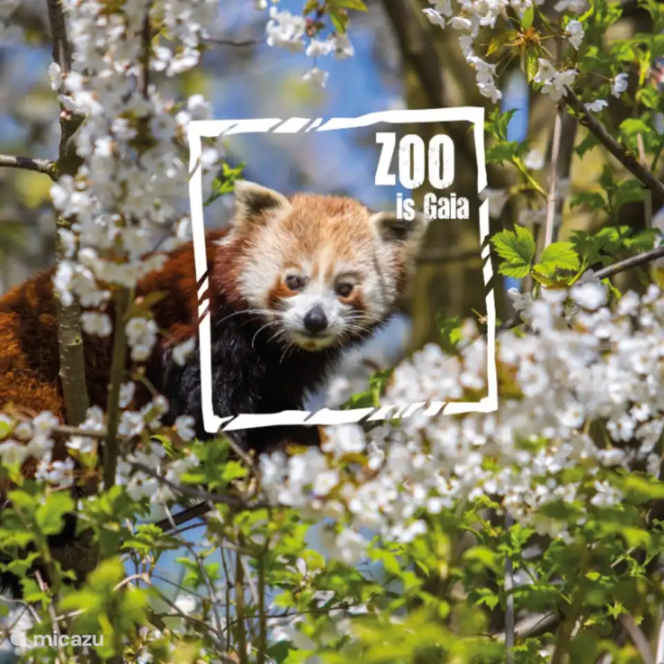 Der schönste Zoo der Niederlande 10 km. von Steefs Ferienhaus
