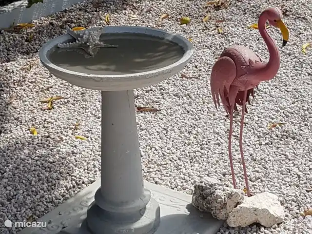 appartement huren in Curaçao, Banda Ariba (oost), Montan'i Rei – 2 Slp.kamer app. Barika Hel