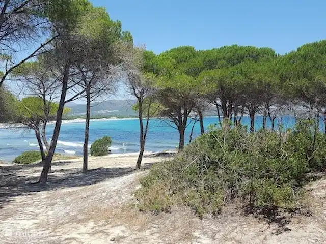 Appartement avec vue fantastique | Italie, Sardaigne, San Lorenzo - appartement Plage de Budoni