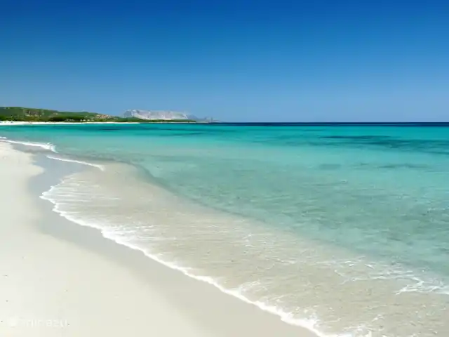Appartement avec vue fantastique | Italie, Sardaigne, San Lorenzo - appartement