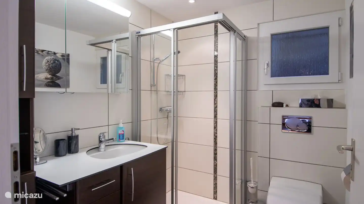 Bathroom with toilet, sink and shower