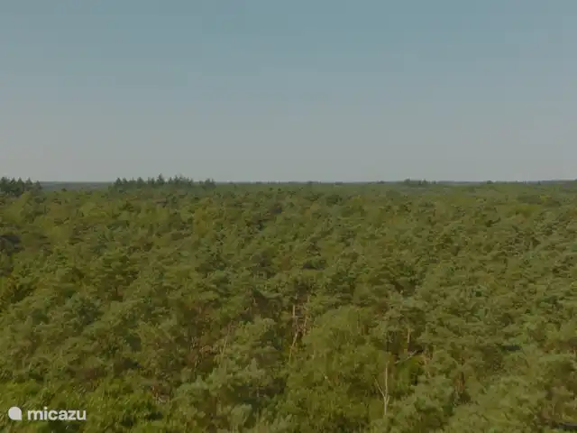 Ossenbeltsdijk huren in Nederland, Gelderland, Lochem - vakantiehuis
