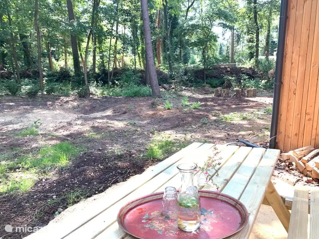 Ossenbeltsdijk in Niederlande, Gelderland, Lochem - Ferienhaus