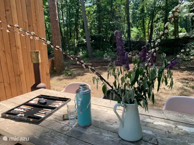 Ossenbeltsdijk huren in Nederland, Gelderland, Lochem - vakantiehuis