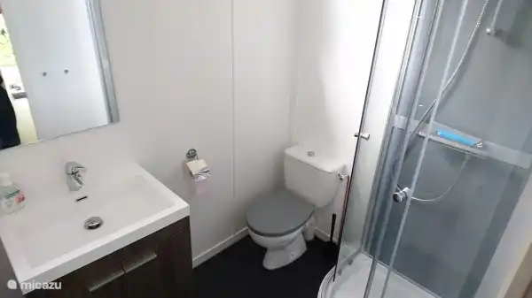 Cuarto de ba&#241;o con ducha, inodoro y lavabo.