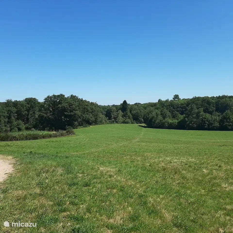 Hermosa naturaleza en el camping