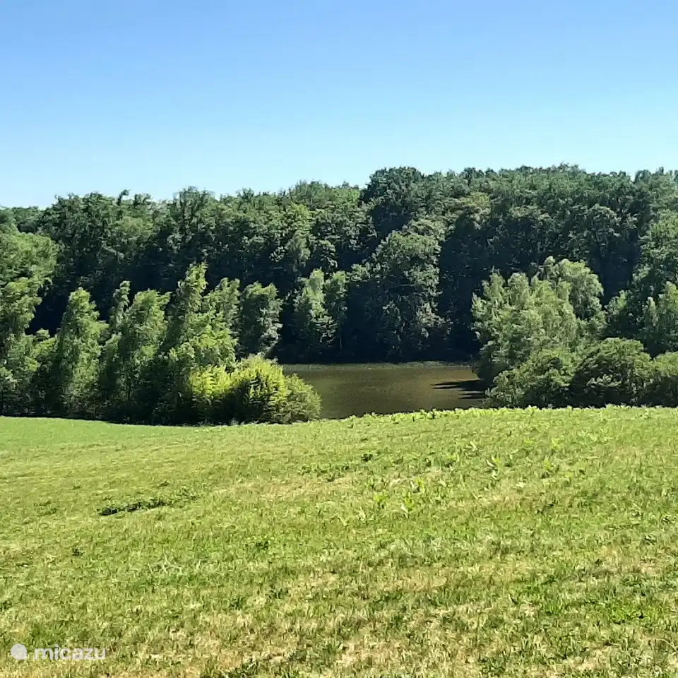 M&#225;s sobre el dominio/camping