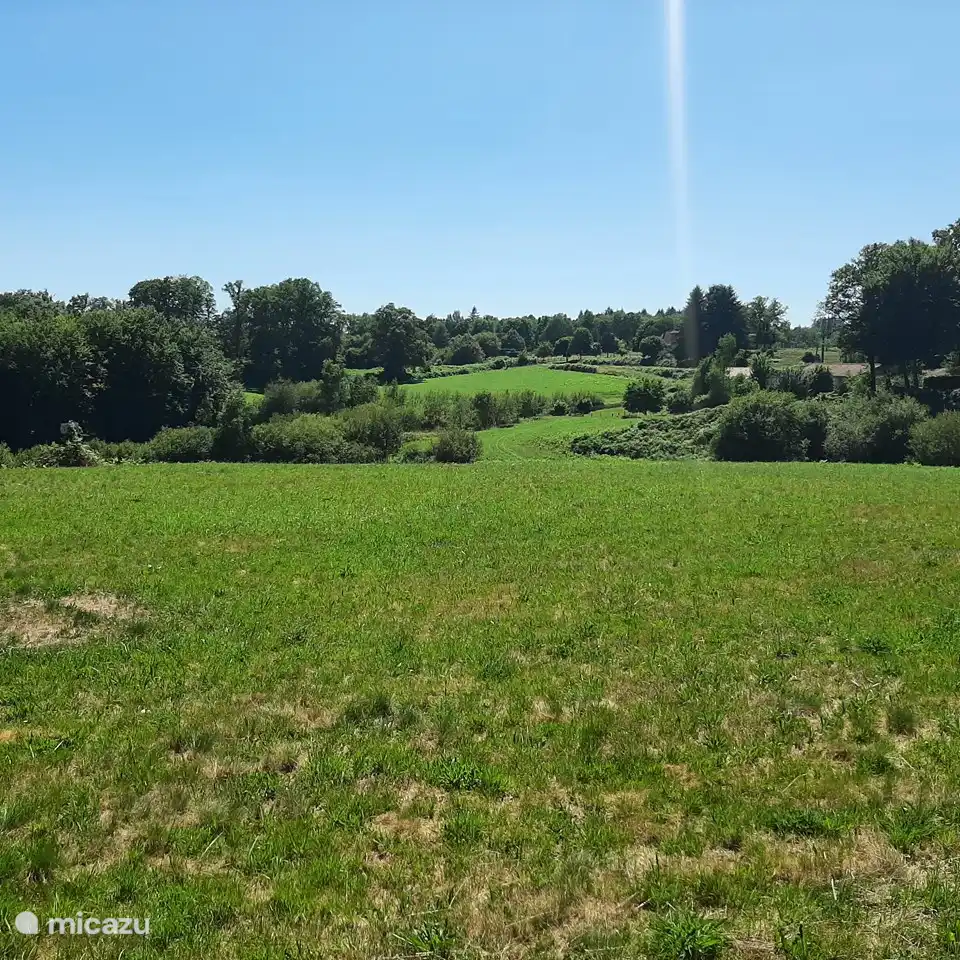 Hermosa naturaleza en el camping