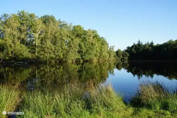 M&#225;s en el camping