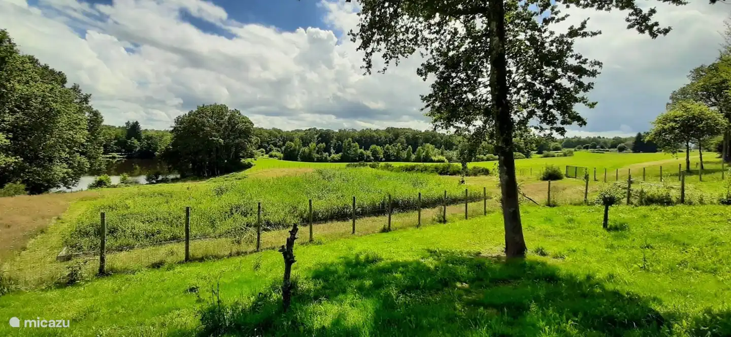 Alrededores del dominio