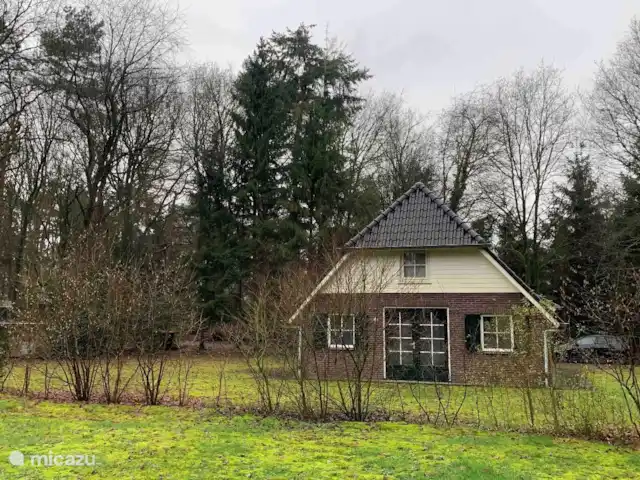 Location de Vacances Pays-Bas, Overijssel, Lemele, maison de vacances - Le bleu chiné Cette belle maison est située dans une zone boisée avec un beau jardin pour profiter de la tranquillité.