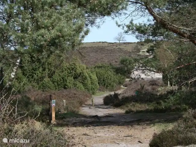 Location de Vacances Pays-Bas, Overijssel, Lemele, maison de vacances - Le bleu chiné Beaux sentiers de randonnée à proximité de la maison de vacances.