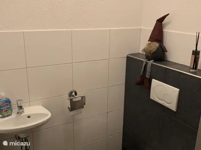 Location de Vacances Pays-Bas, Overijssel, Lemele, maison de vacances - Le bleu chiné Toilette
