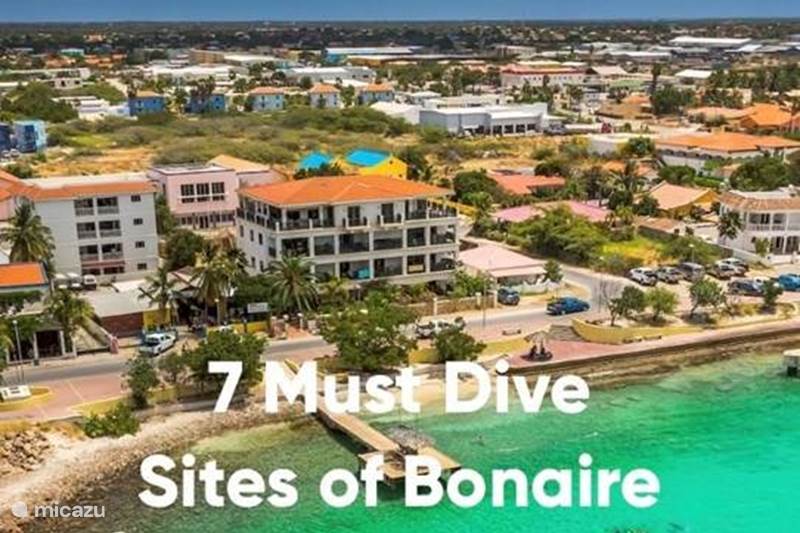 Holiday home Bonaire, Bonaire, Kralendijk Apartment Spacious apartment, sea view &amp; center
