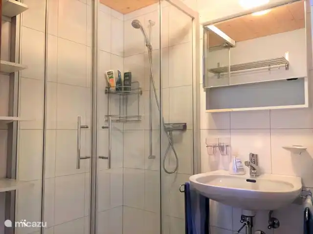 Location de Vacances Suisse, Valais, Fiesch, appartement - Chaldemon salle de bain avec douche et lavabo,