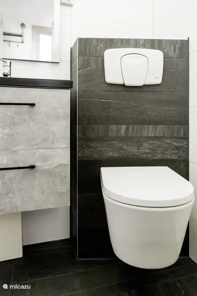 Toilette dans la salle de bain