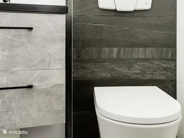 casa vacacional en Países Bajos, Overijssel, Denekamp – Casa Zinggraven Aseo en el baño