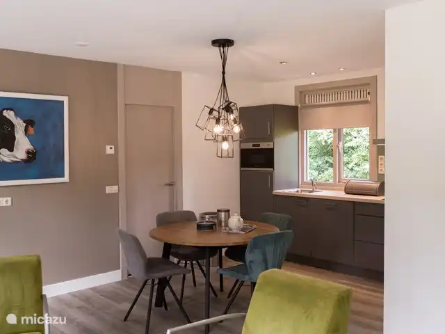 casa vacacional en Países Bajos, Overijssel, Denekamp – Casa Zinggraven cocina vista desde el salón