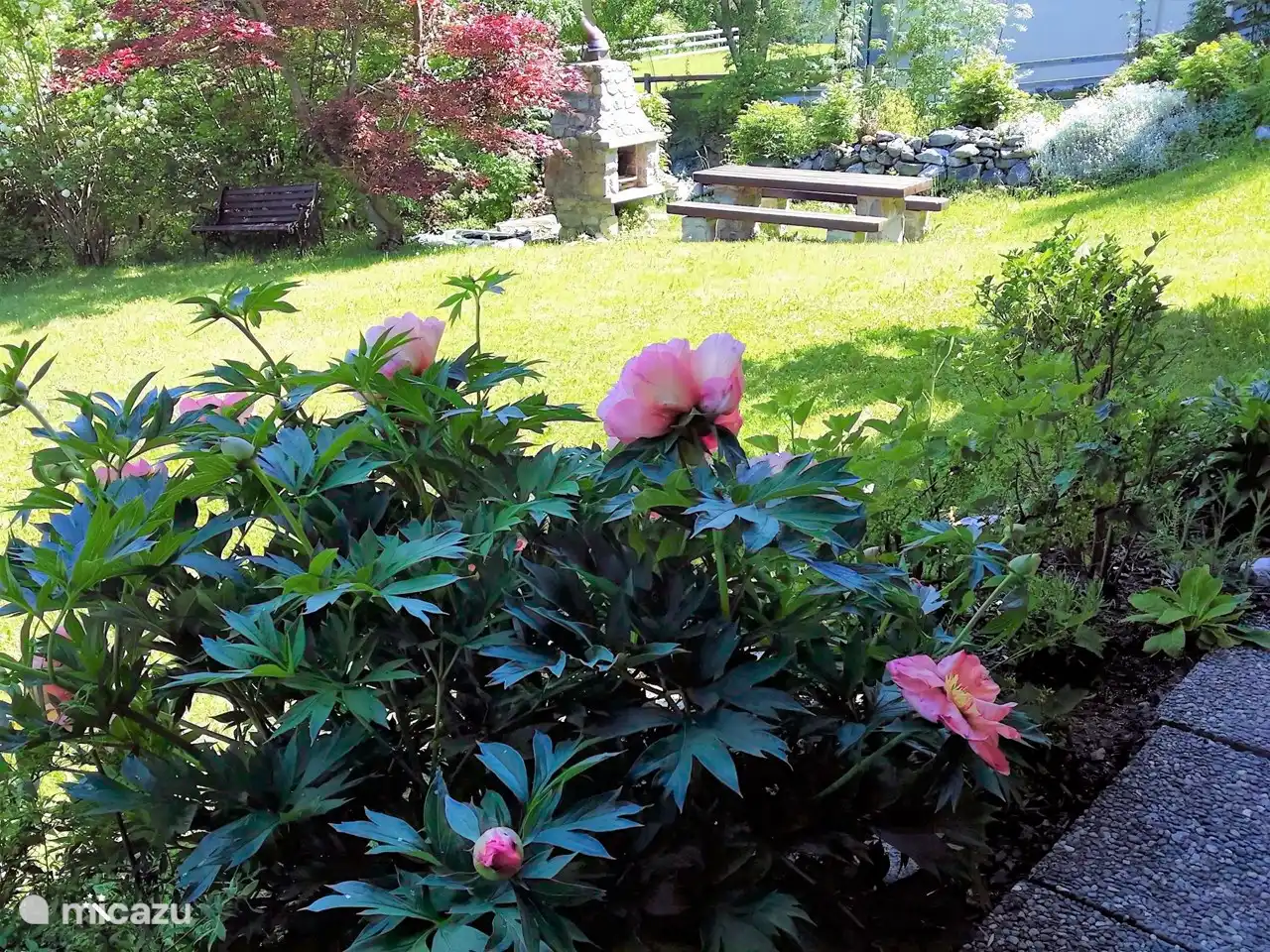  Liege- und Spielwiese mit Garten-Cheminée und zahlreichen Sitzmöglichkeiten.
