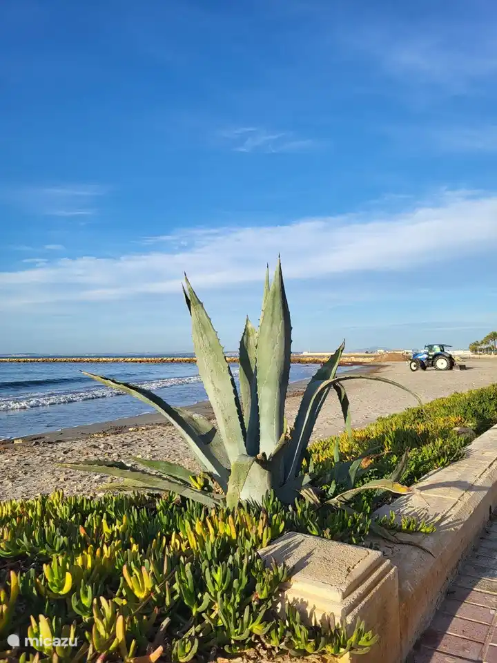 Surroundings and beach