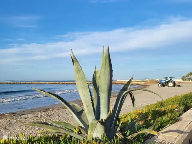 Fantastische woning bij het strand huren in Spanje, Costa Blanca, Santa Pola - vakantiehuis Omgeving en strand