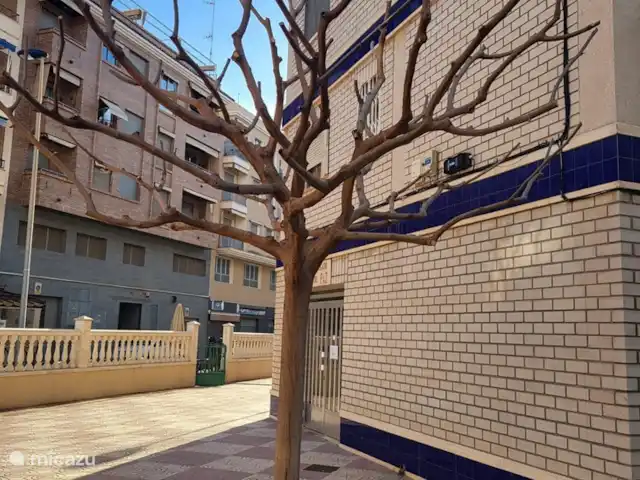 Fantastische woning bij het strand huren in Spanje, Costa Blanca, Santa Pola - vakantiehuis Omgeving