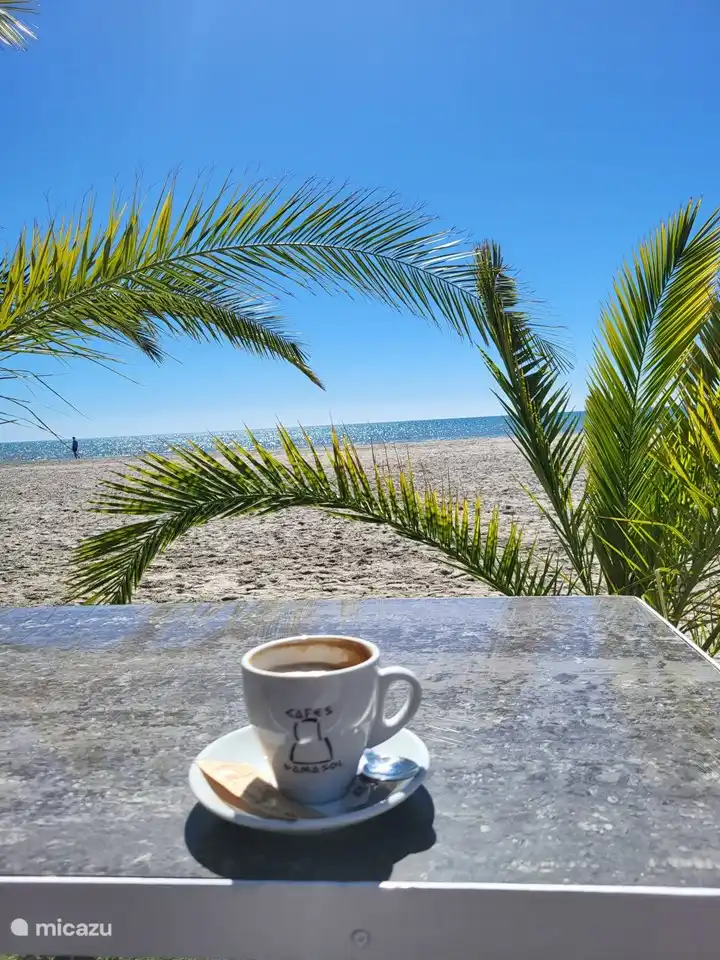 Beach and surroundings