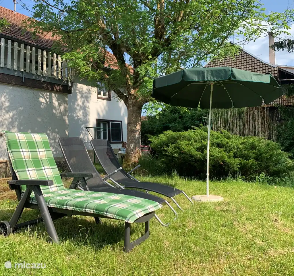 Tuin, BBQ en Thermomix